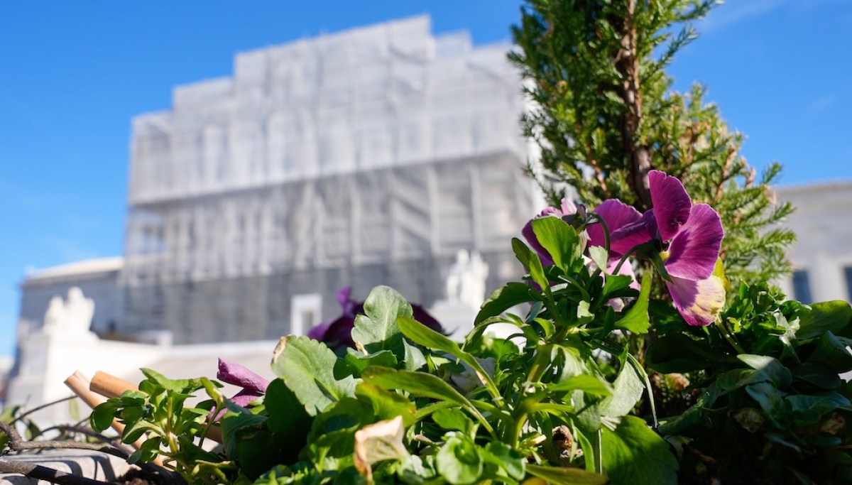 Justice Thomas questions basis for New Jersey subpoena of pregnancy center donors