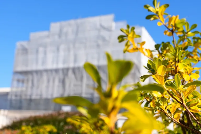 With leaves in the foreground, construction on the front of the U.S. Supreme Court continues Monday, Nov. 24, 2025, in Washington. (AP Photo/Mariam Zuhaib)