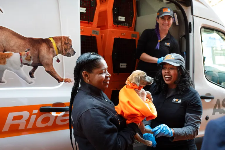 Workers with the ASPCA hold a puppy.
