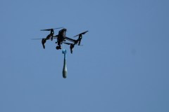 Achieving drone dominance