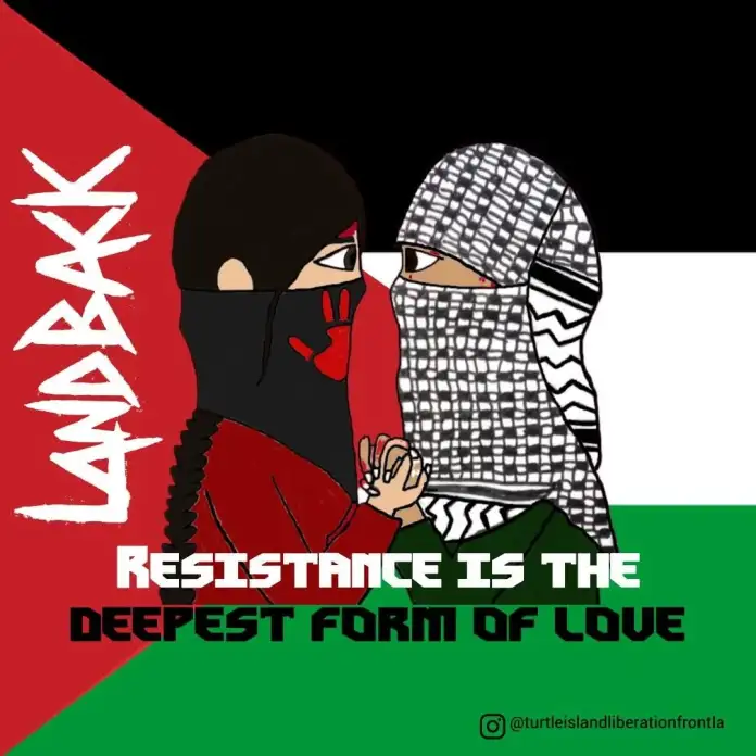 Social media graphic showing an Indigenous activist holding hands with a Palestinian