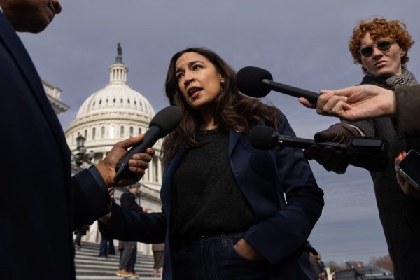 AOC, Khanna lead progressives breaking with Democrats on calls to arrest ICE officer in Minnesota killing