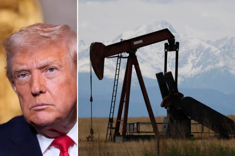 President Donald Trump has for months promised to “drill, baby, drill” and revitalize the fossil fuel industry, though as oil prices have plummeted some within the industry doubt whether he can deliver on that agenda. 