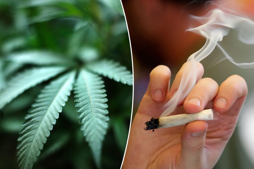 washingtonexaminer.com - Kevin Sabet - Trump's marijuana move will make communities less safe