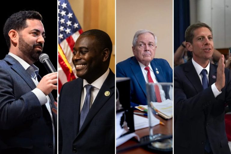 Reps. Mike Lawler, Gabe Amo, Ralph Norman, and Mike Levin