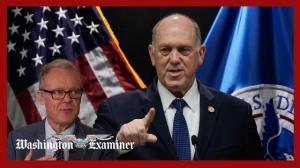 Homan proposes force-feeding ICE detainees on hunger strike: ‘We’ll get a court order’
