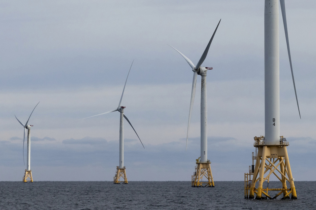 Trump renews wind criticism, claims wind turbines kill bald eagles