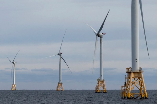 Trump renews wind criticism, claims wind turbines kill bald eagles