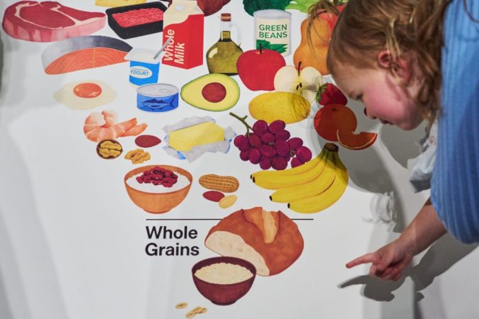 washingtonexaminer.com - Brian Christine - We flipped the food pyramid. Here's why