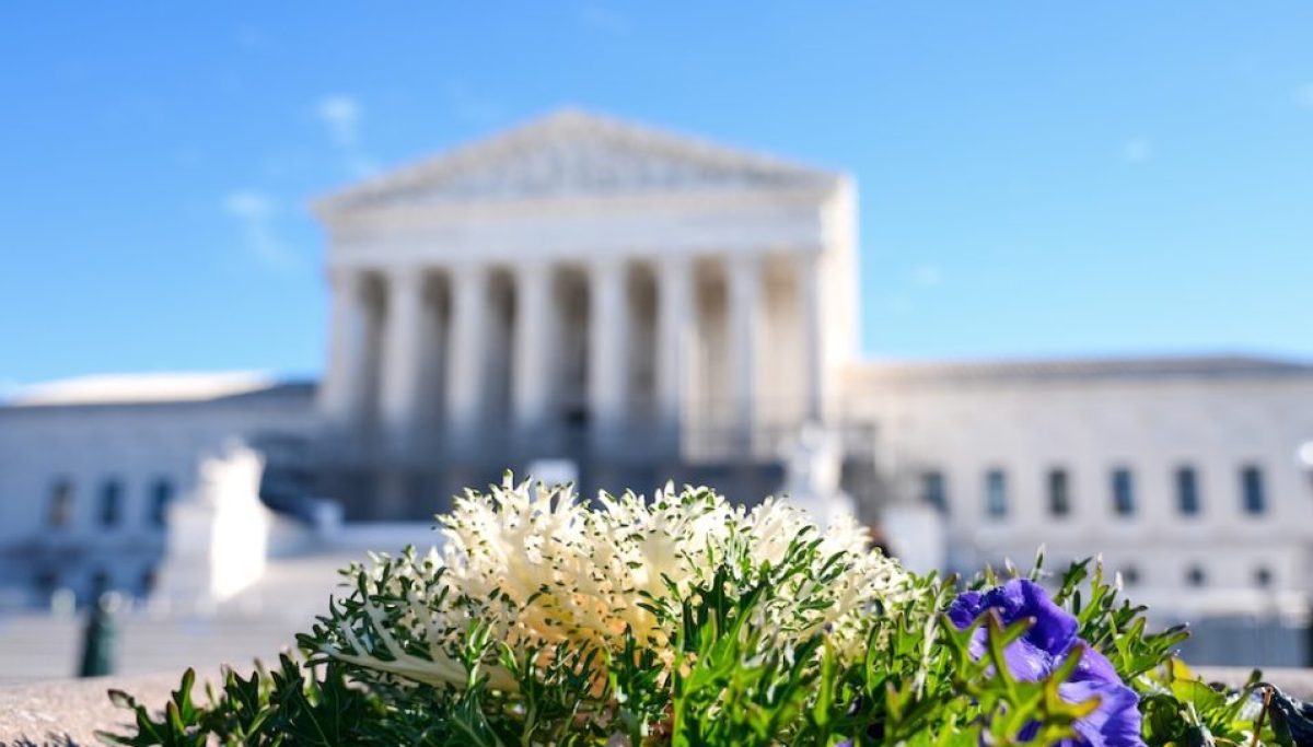 High court considers how defining sex would affect trans sports bans