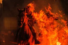 Horses leap through flames and pets go to church in Spanish animal rituals honoring St Anthony