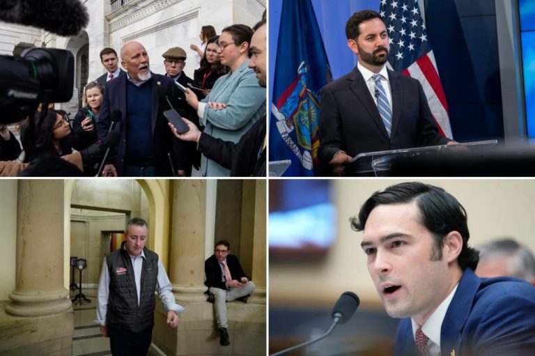 Reps. Chip Roy, Mike Lawler, Brian Fitzpatrick, and Brandon Gill