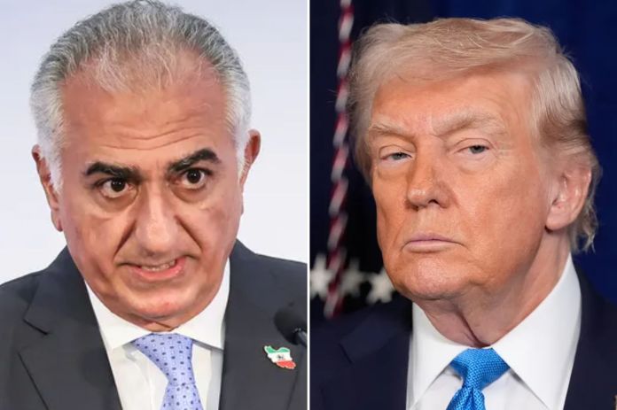 Trump says meeting with Iranian crown prince calling for protests would not be ‘appropriate’