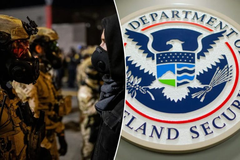 violence against DHS ICE