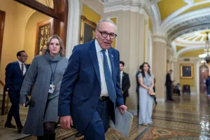 Schumer calls on Senate GOP to scrap DHS funding bill to avoid shutdown