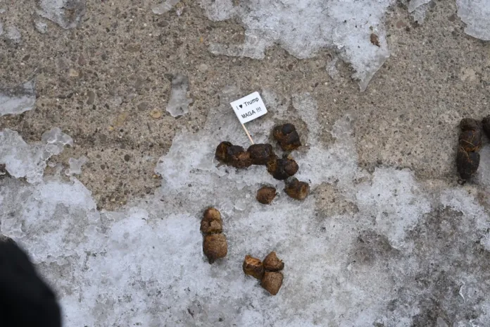 Piles of animal fecal excrement were used as a protest around an entire city block in Pittsburgh on Friday as part of an anti-ICE anti-Trump protest.