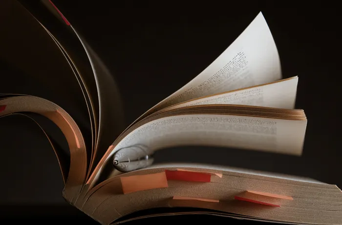 On culture books literature