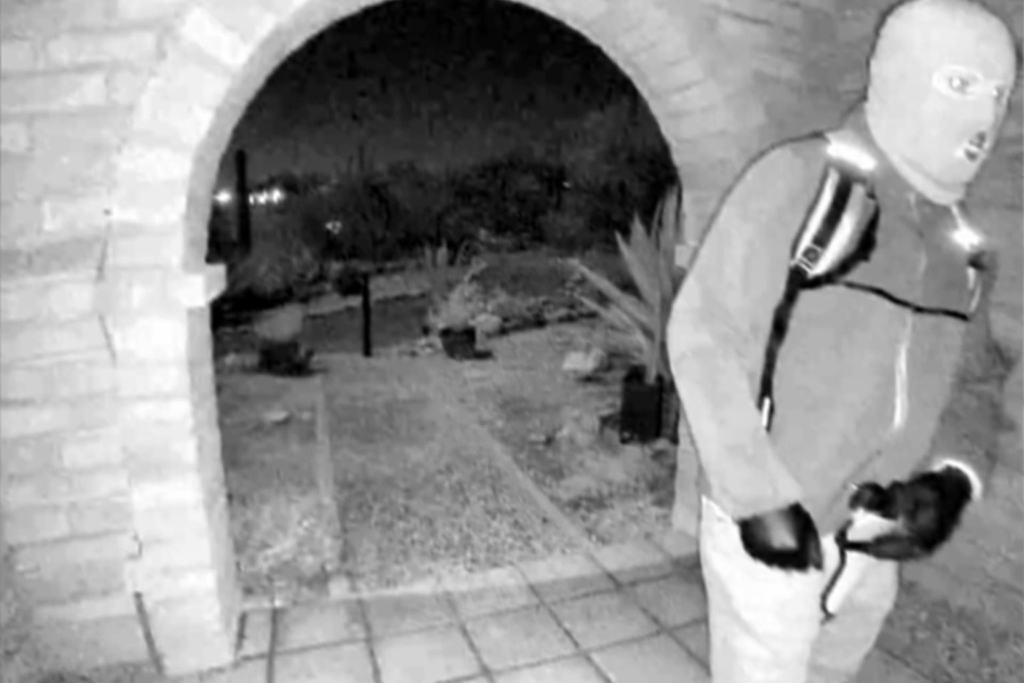 Patel releases doorbell camera footage of possible suspect in Nancy Guthrie’s disappearance 