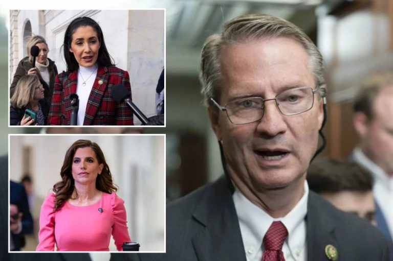 Tim Burchett/Nany Mace/Anna Paulina Luna