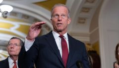 GOP rebels accuse Thune of ‘gaslighting’ conservatives with new SAVE America vote