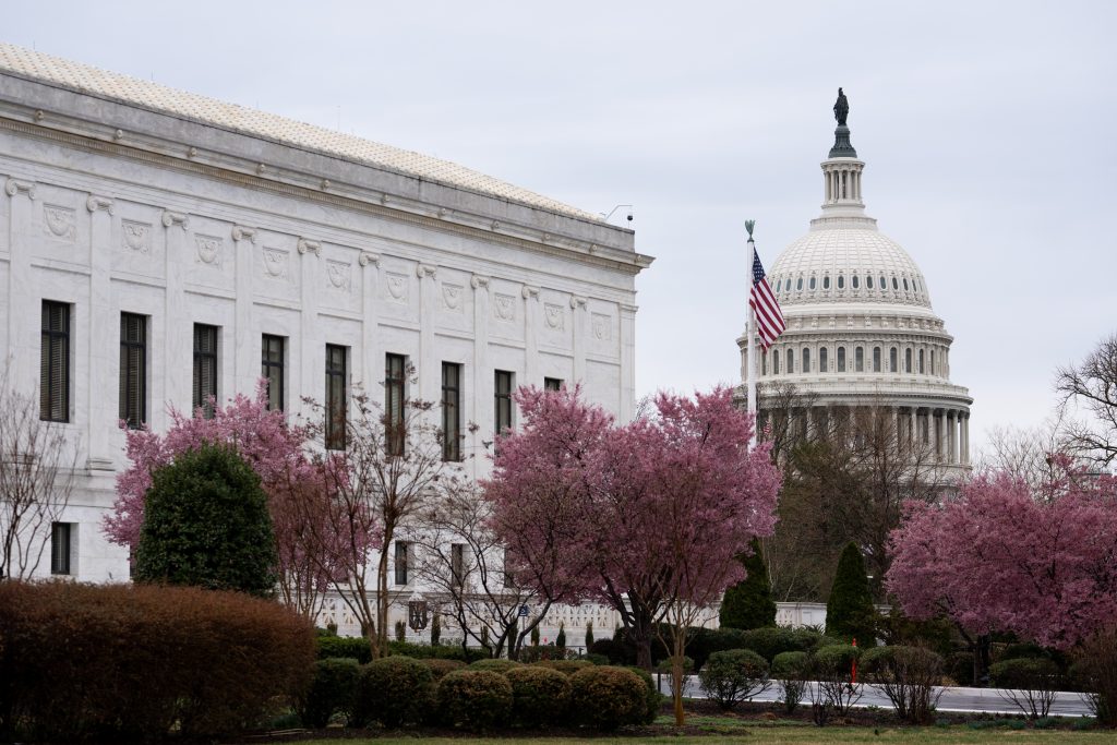 What to expect from DC traffic as peak cherry blossom season approaches