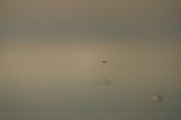 UK, France, Japan, Germany, and others voice readiness to contribute to secure Strait of Hormuz