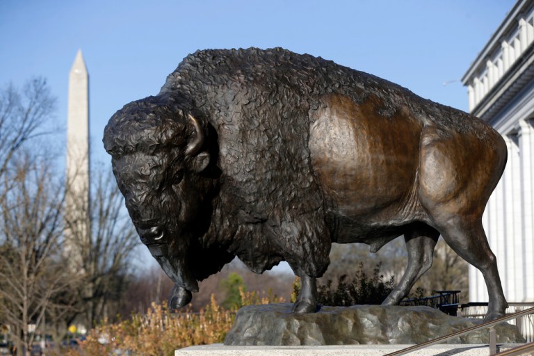 Bison statues cast in bronze are on permanent display outside the Smithsonian's National Museum of Natural History.