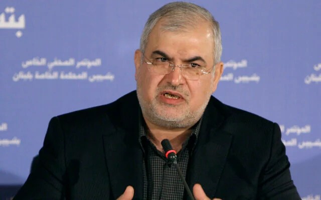 Hezbollah leader killed in IDF strikes in Lebanon