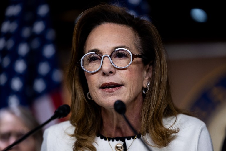 Lisa McClain (R-MI) speaks at a news conference.