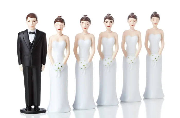 The elite polyamory push