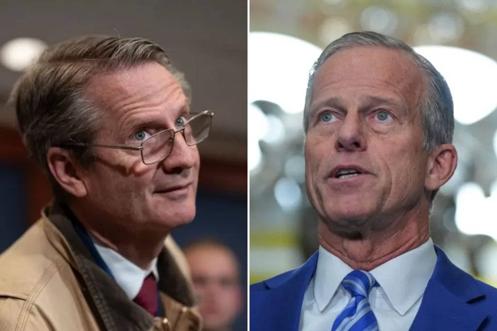 Tim Burchett calls for new Senate leadership after John Thune ‘ignores’ SAVE America Act