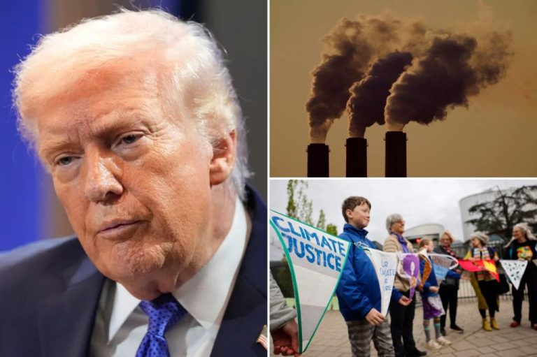 The Trump administration tightened the screws on efforts to achieve net-zero in February, when Wright threatened to pull the U.S. out of the IEA. 