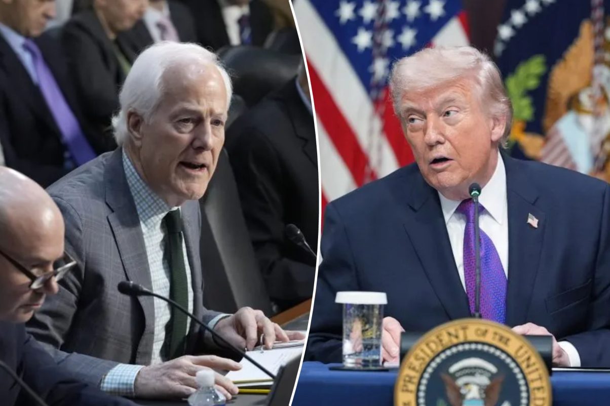MAGA voters will be ‘up in arms’ if Trump endorses Cornyn over Paxton: Lauren Green