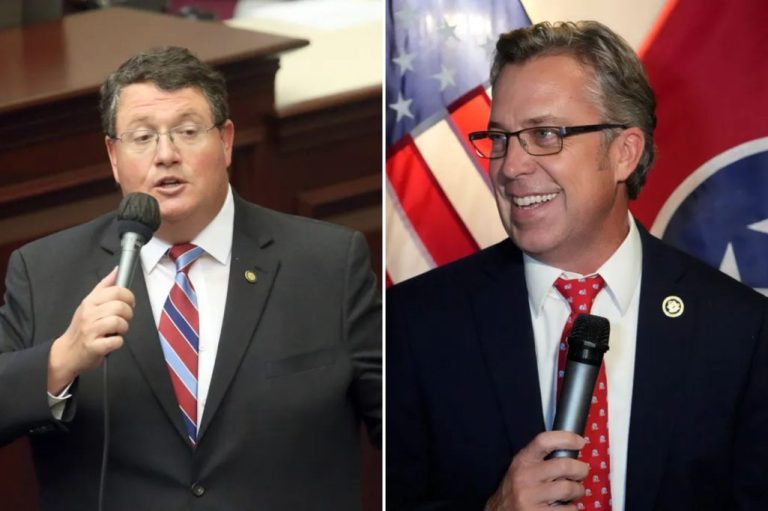 Reps. Randy Fine (R-FL) and Andy Ogles (R-TN) each hold microphones at their respective public events.