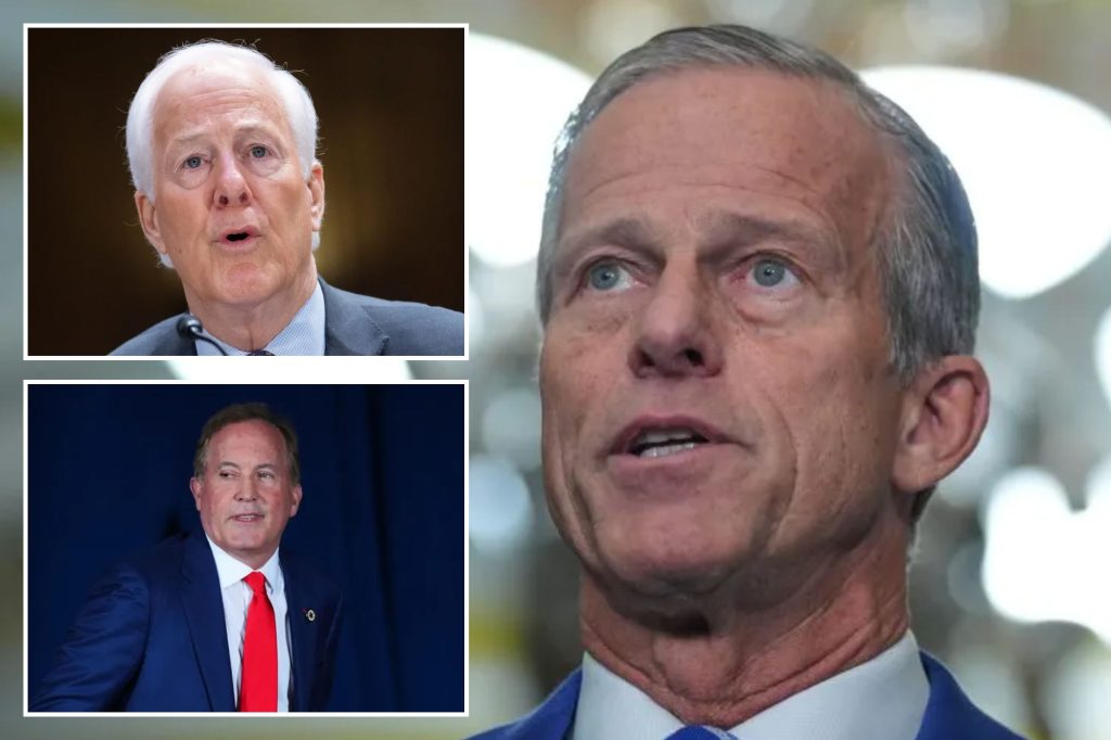 Thune-aligned PAC stays on sidelines as Cornyn slips in Texas runoff