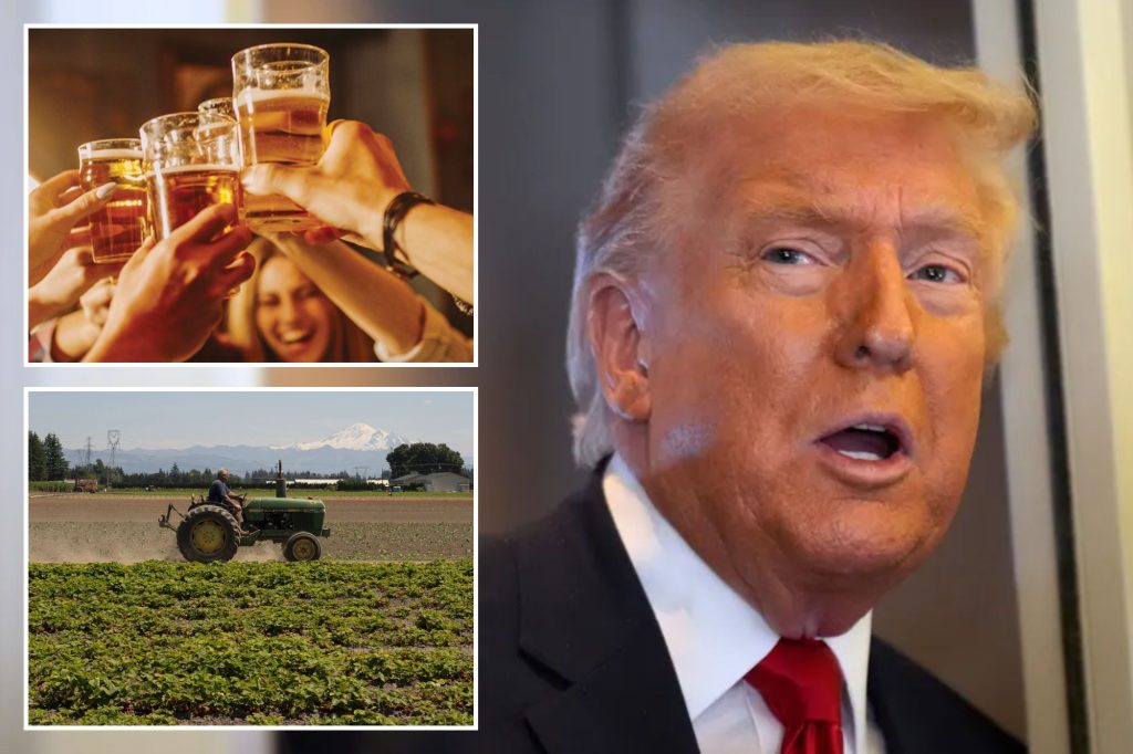 House lawmakers to Trump: Don’t tariff Mexican beer