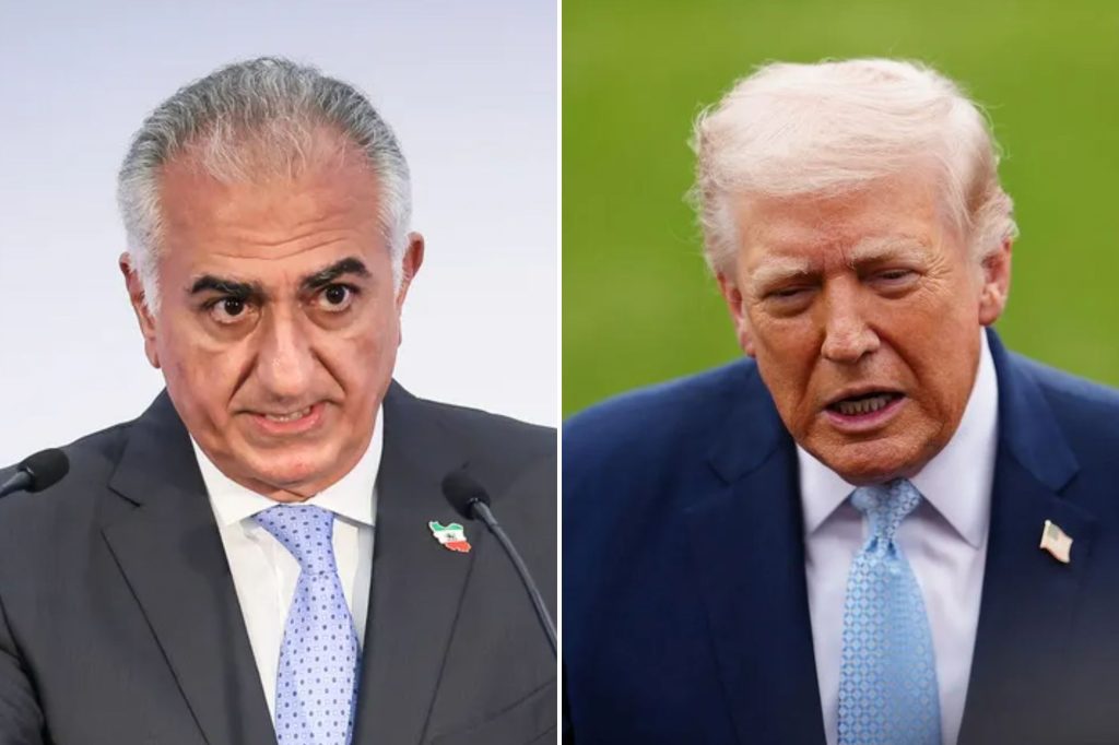 Pahlavi pleads with Trump to back off threat against Iran’s power plants
