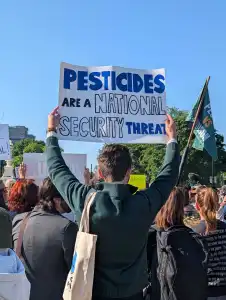 Cancer survivors protest Trump administration’s support of RoundUp in Supreme Court case