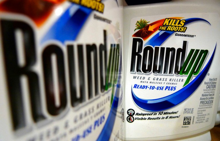 In this June 28, 2011, file photo, bottles of Roundup herbicide, a product of Monsanto, are displayed on a store shelf in St. Louis. (AP Photo/Jeff Roberson, File)