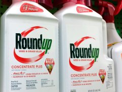 One label, not 50 verdicts: Why Kagan and Kavanaugh agreed to end the Roundup bonanza