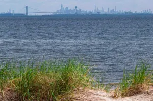 Trump administration begins work on New York gas pipeline fought by greens