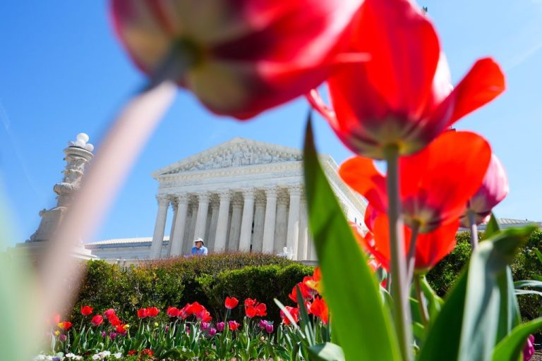 supreme court
