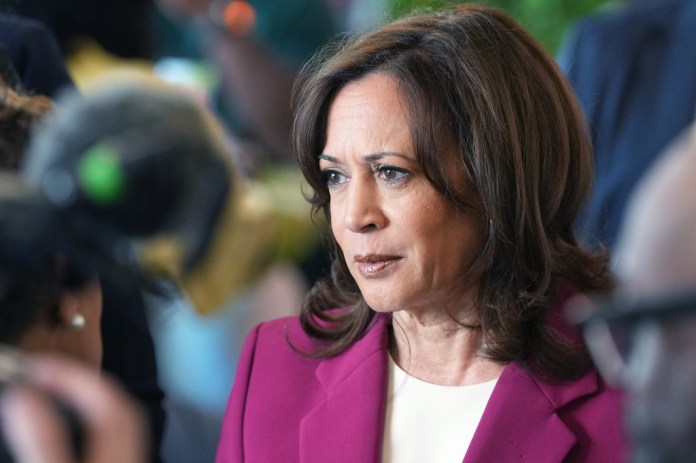 Harris Calls for Release of DNC’s 2024 Election Review
