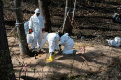 DOJ sues DC Water over massive Potomac River sewage spill