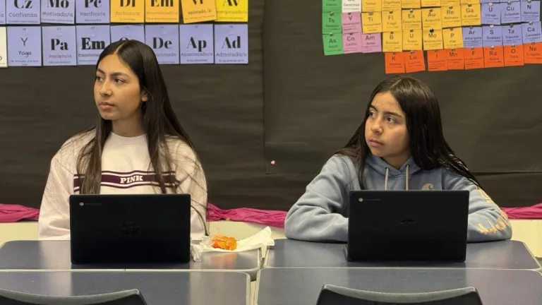 Students work on chromebook computers during classroom instruction.