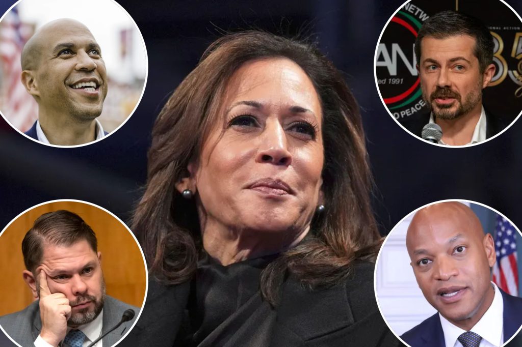 Ranking the 2028 Democratic hopefuls at Al Sharpton’s National Action Network