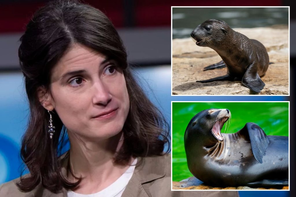 House Democrat asks Trump administration to loosen restrictions on killing sea lions