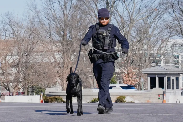 U.S. Capitol Police officer patrols outside of Capitol with a K9 on Friday, Feb. 13, 2026
