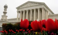 Most of your constitutional rights came from a communist’s prison sentence