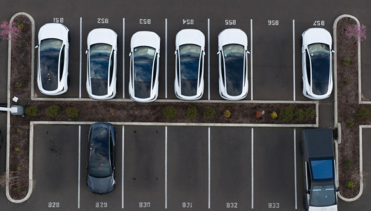 Global EV sales to make up 30% of the market this year